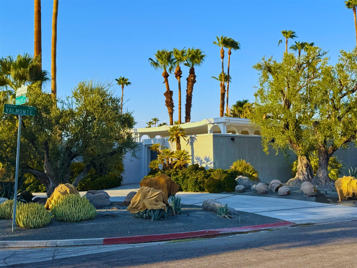 Walled estate with olive trees and palms at Granvia Valmonte and Phillips Road